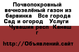 Почвопокровный, вечнозелёный газон из барвинка - Все города Сад и огород » Услуги   . Чувашия респ.,Канаш г.